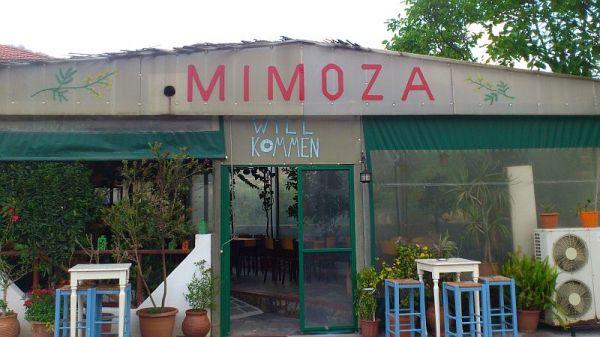 Tavern Mimoza